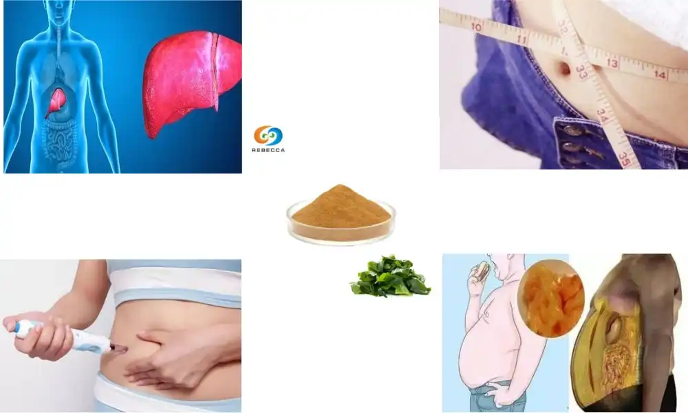 Does fucoxanthin help with weight loss?